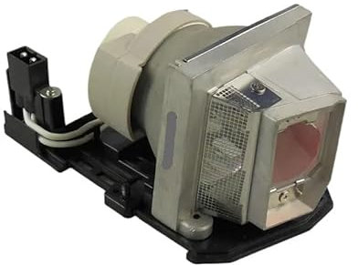 BNEAIGHW Projektionsglühbirne P-VIP180/0,8 E20,8 Glühbirne KompatibelAJ-LBX2A AJ-LBX2A C0V30389301 for LG BS-254 BS-275 BX-254 BX-275 Lampe mit Gehäuse Bühnenlicht