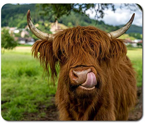 Rectangle Mouse Mat - Brown Highland Cow Cattle 23.5 x 19.6 cm (9.3 x 7.7 inches) for Computer & Laptop, Office, Non-slip Base #44472