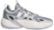 adidas Unisex TRAE Unlimited Basketball-Schuhe, Grey Three/Grey Two/Cloud White, 48 2/3 EU
