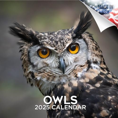 Kalender 2025 2026 Eulen, monatlicher Wandkalender, Vögel, Wildtiere, 16 Monate, 30,5 x 61 cm, dickes Papier ohne Blüten, großes Raster, begabbarer Tierkalender für Lehrer, Zuhause, Büro, hergestellt