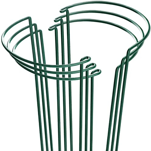 HiGift Plant Support Stakes, 6 Pack Metal Peony Cages and Supports, Garden Stakes Plant Support Cage, Large Plant Support Ring for Outdoor Indoor Snake Plant Peony Rose Flowers Vine (10 W x 15.8 H)
