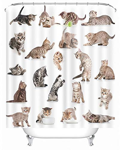 EHOMERY Duschvorhang Italien Motiv Duschrollo Gebogen Katzen In Unterschiedlichem Status Polyester Weiß Rostfreie Ösen Und 12 Hakenringe, 120X180Cm