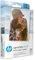 Bundle of HP Sprocket Photobooth Instant 3x4” Color Photo Printer (Grey) Capture & Customize with 250+ Frames+ HP Sprocket 3.5 x 4.25” Zink