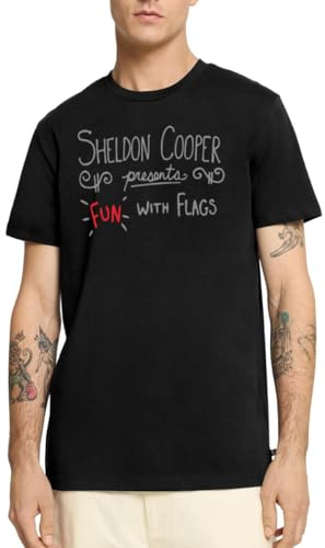The Big Bang Theory Spaß mit Flaggen Männer Premium T-Shirt