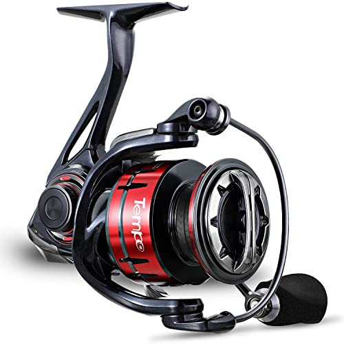 Tempo Expert Angelrollen, 10 + 1 japanische Kugellager, maximale Zugkraft bis zu 18,6 kg, leichte und leichtgängige Spinnrolle, Magnesium-Rahmen, Übersetzung von 5,2:1 bis 6,2:1, schwarz, Expert 4000