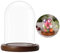 BELLE VOUS Cloche en Verre avec Socle Marron en Bois - 9,4 cm de Haut - Mini Cloche en Verre Transparent pour Lumières, Plantes, Décoration de Table