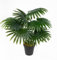Seidenblumen Roß Fächerpalme Real Touch 40/50cm im Topf ZJ Kunstpflanze künstliche Palme Dekopalme Pflanze