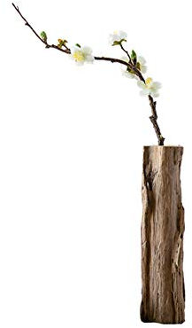 Maya Star Holzvasen im japanischen Stil, kreatives Blumenarrangement, modern, minimalistisch, Heimdekoration, zufällige Sendungen A31