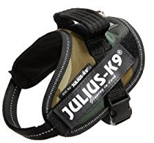 Julius K9 Hundegeschirr, Brustgeschirr reflektierend Hunde Geschirr mit personalisiertes Geschenk, benutzerdefinierter Klettsticker (XS/Mini-Mini, Camouflage)