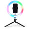 Intempo EE5977RGBBLKSTKEU7 Small Ring Light – With Mobile Phone Tripod Stand, Desk LED Selfie Light for Streaming, Vlogging, Photos, Multicolour & White Lights, Fold Away Feet, Compact Storage, 26 cm