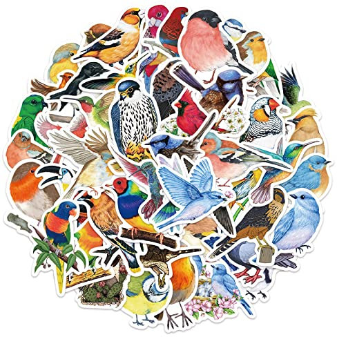LYunMu 50 Stück Aquarell-Vogel-Aufkleber für Kinder, Teenager, Erwachsene, Jungen, Mädchen, Geschenk, Aufkleber, Set für Laptop, Skateboard, Gepäck, Auto, Fahrrad, Vinyl, wasserdichte Aufkleber