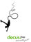 Decus Bungee Jumping // Sticker OEM JDM Style Aufkleber