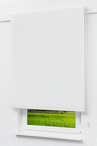 LYSEL Outlet - Basisrollo Tageslicht Reinweiß, (B x H) 82.50cm x 175cm in weiß/reinweiß