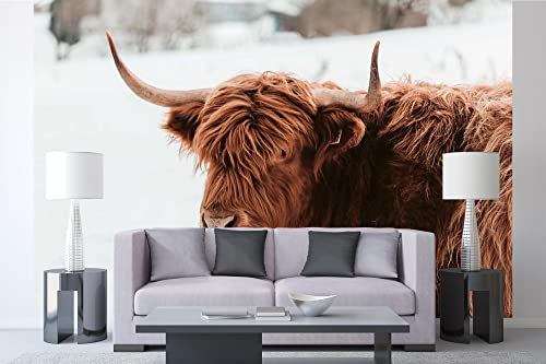 Vlies Fototapete SCHOTTISCHE HOCHLANDRIND-KUH 375 x 250 cm (inkl. Kleister) - Vlies Tapete, Wandtapete, Wandbilder - Tapete für Wohnzimmer Schlafzimmer, Büro, Küche - Montagefertig