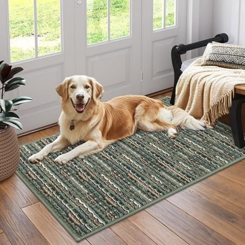 Biscpro Fußmatte 60x90cm Schmutzfangmatte Innen,rutschfeste Waschbar Fussmatte,Sauberlaufmatte Teppich Floor Mat für Eingangsbereich,Haustür,Patio,Flur,Garten,Porch