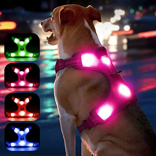 YFbrite Leuchtendes Hundegeschirr mit Batterieanzeige, Typ-C wiederaufladbar, RGB-LED-Geschirre (Blau, Grün, Pink), verstellbar für alle Hunde, Sicherheit beim nächtlichen Spazierengehen (Schwarz, S)