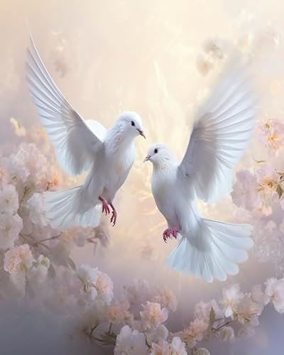 PIPISKY Malen nach Zahlen für Erwachsene,Tauben wirbeln im Tanz,Digitale Gemälde Kunst,wo moderne Ästhetik aufeinandertreffen,40x50cm,Ohne Rahmen