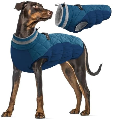 Hundemantel Wasserdicht, Warme Hundejacke Winter Jacke Winddichte Hundeanzug mit Reflektierender Streifen(Dunkelgrün, L)