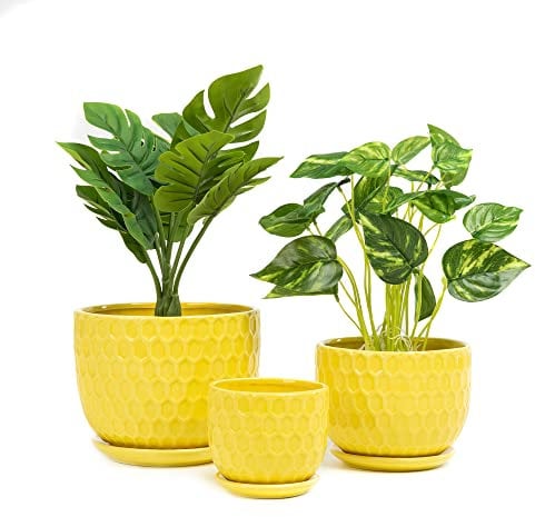 Nattol Set di 3 vasi da fiori in ceramica gialla con sottovaso, moderni vasi rotondi in ceramica per piante grasse con design ispirato a nido d'ape, di piccole e medie dimensioni, set da 3