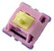 Thock King C³ EQUALZ X TKC Banana Split 62g Linear Switches for Mechanical Keyboards (70)