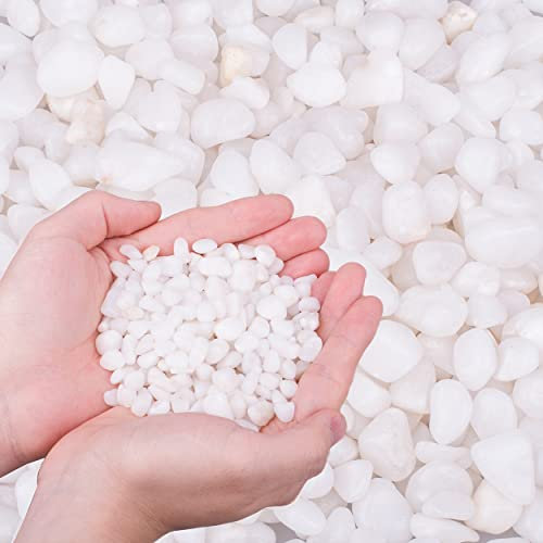 HOT SEAL 11.9 LB White Polished Pebbles 3/8, Natural Decorative Smooth River Rocks, Gravel Size White Small Pebble Stone for Succulent, Bonsai, Potted Plants, Landscaping, Fairy Garden, Aquarium