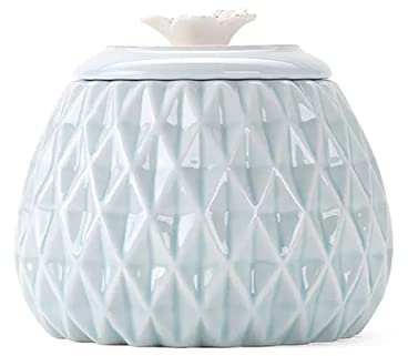 LICONG-2020 Teedose in Ananasform, versiegelte Keramik-Teedose, Haushalts-Tee-Aufbewahrungsdose, Tee-Aufbewahrungsdose, chinesische Tee-Box, Tee-Aufbewahrungsdose, 500 ml, luftdichte Dose (blau)