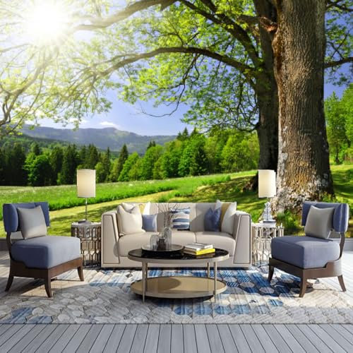 LUPAXA Photo Mural Nature Verdoyante，366x254cm Grands Arbres deco murale pour le salon ou la chambre à coucher