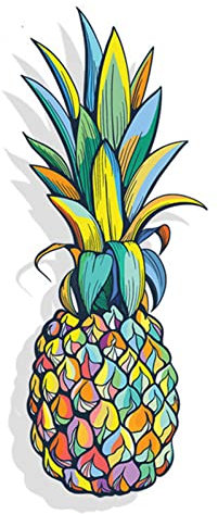 PBHYDK 2Pcs Ananas Aufkleber Bunte Fenster Auto Stoßstange Laptop LKW wasserdichte Auto Styling Autoaufkleber 13 cm X 5 cm Laptop Koffer LKW Auto Aufkleber