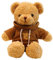 TROYSINC Teddybär Weiches Fell Teddybär mit Kapuze Tatzendruck Plüschtier Kuscheltier Stofftier Geschenk (Kaffeefarbe,50cm)