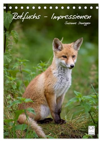 Rotfuchs - Impressionen (Tischkalender 2026 DIN A5 hoch), CALVENDO Monatskalender: Bilder aus dem Leben der Füchse. (CALVENDO Tiere)