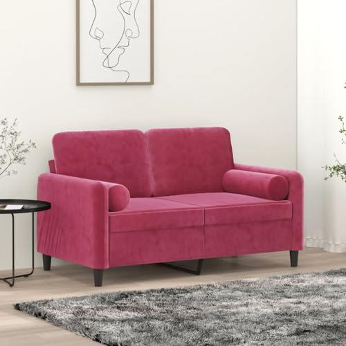 Frdhee Modulares Sofa,2-Sitzer-Sofa mit Zierkissen Weinrot 120 cm Samt,Schlafzimmersofa für Wohnzimmer und Wohnungen