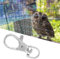 GOTOTOP 12 Pezzi di Serrature per Gabbia per Uccelli, Gabbia per Animali in Metallo con Gancio per Serratura a Clip per impedire Il grilletto per Artigli Accessori per Gabbie per Uccelli Aperti