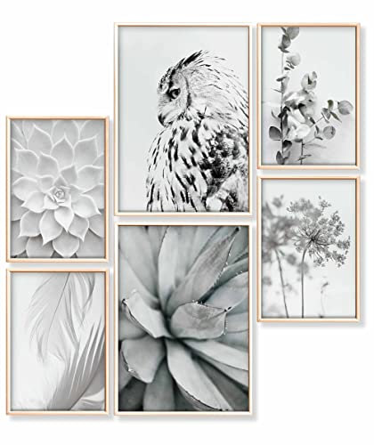 Heimlich® Premium Poster Set OHNE Bilderrahmen | 2 x DIN A3 & 4 x DIN A4 - ca. 30x42 & 21x30 | Stilvolle Poster Collagen mit passenden Bilder als Wanddeko » Agave Eukalyptus Eule «