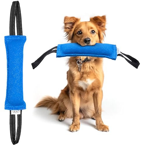 Hundespielzeug zum Beißen und Ziehen - 30 x 9 cm, blau - strapazierfähiges Spielzeug zum Ziehen mit 2 starken Griffen - robustes Nylon-Kissen zum Beißen für kleine bis mittelgroße Hunde - Yes4Quality
