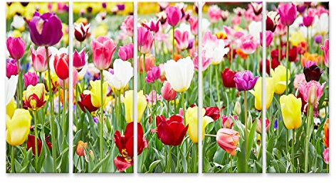 islandburner Bild auf Leinwand Verschiedene Blumen Und Blühende Tulpen Bilder Wandbilder Poster