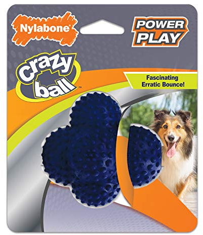 Nylabone Power Play Crazy Ball Interactive Play Toy, Fetch Ball Toy for Dogs, Large (1 Count)