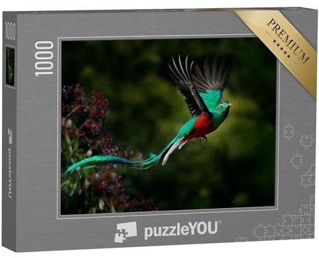 puzzleYOU: Puzzle 1000 Teile „Fliegender Prachtquetzal in Costa Rica, mit grünem Wald im Hintergrund“ – aus der Puzzle-Kollektion Vögel