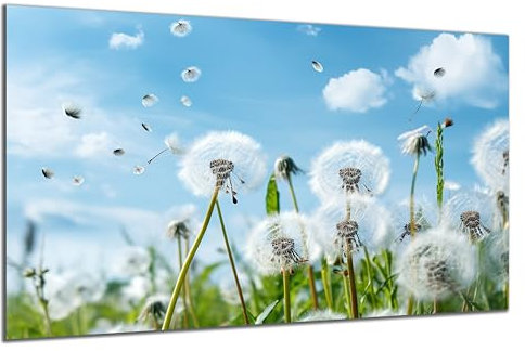 DARO Design - Wand-Bild auf 6mm HDF 30x20 cm Blumenwiese Löwenzahn Pusteblume - Wand-Deko Bilder Geschenk