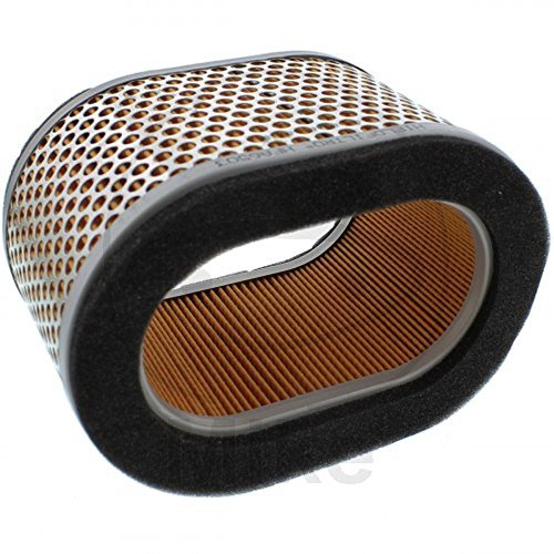 Hiflofiltro HFA6503 Premium OEM Air Filter
