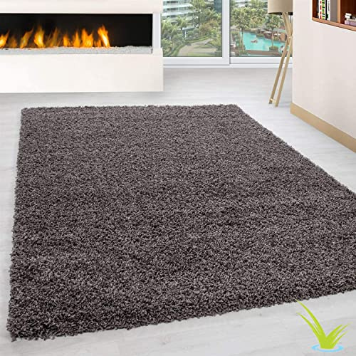 Wadan 200x290cm Taupe Shaggy Rugs Living Room |5mm Thick Pile | Extra Large Small Medium | Rectangular Size | Soft Touch | Living Room Area Rugs | Non Shedding
