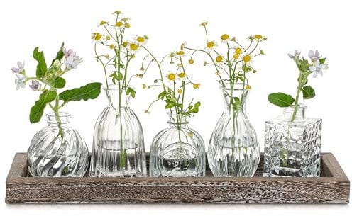 Glasseam Vase Klein Glasvase für Wohnzimmer: 5 Vasen Glas Klar mit Holztablett für Home Büro Hochzeit Tischdeko - Elegante Deko Blumenvasen Set für Geburtstage Jubiläen Geschenk zum Einzug