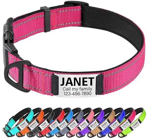 TagME Collier Réfléchissant Rembourré Personnalisé pour Petits Chiens Chiots, Plaque D'identification en Acier Inoxydable Silencieuse, Rose Vif, XS