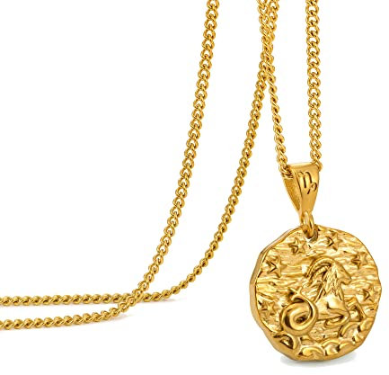 Speroto kette herren, halskette kette, sternzeichen kette, sternzeichen anhänger, edelstahl kette, geschenk herren(Steinbock,gold)