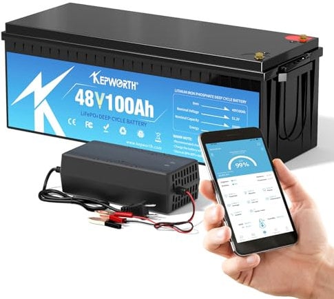 KEPWORTH 48V 100Ah LiFePO4 Batterie, 100A BMS, 4000-15000 Zyklen Deep Cycle Lithium Akku, Perfekter für Golfwagen, Wohnwagen, Inselanlage, Wohnmobil, Solar Home Systeme, Boote