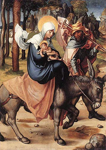 Toperfect Peinture à l'huile faite à la main €50-€2000 – 11 peintures célèbres de Dürer – Les Sept Douleurs de la Vierge La Fuite en Egypte Albrecht Durer Christian – Peintures sur toile Art -7