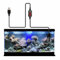 Mini chauffage d'aquarium, chauffage d'aquarium, 10 W USB Mini chauffage submersible pour aquarium de 1 à 3 L (adaptateur non inclus)