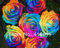 300 Mystic Regenbogen Rose Bush-Blumensamen, 3 verschiedene Arten Regenbogen-bunte Rosen-Samen, Plus-Mysterious Geschenk