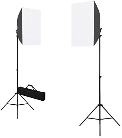 vidaXL 2X Lámparas de Estudio Profesional Acero Fotografía Imagen Estudio Laboratorio Fotográfico Iluminación Claridad Luz Flashes 40x60 cm Negro