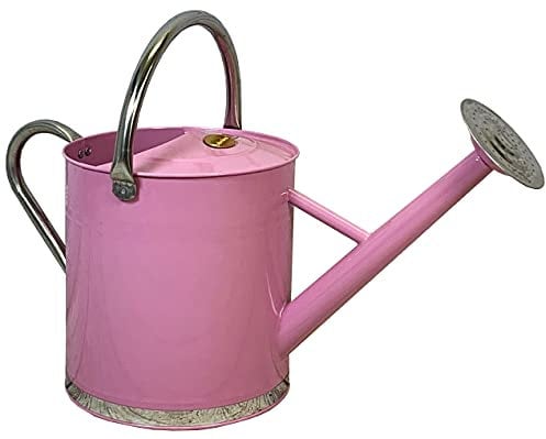 9 Litre Pink & Chrome Metal Watering Can with Rose