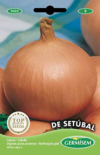 Germisem de Setúbal Semillas de Cebolla 3 g (EC1005)